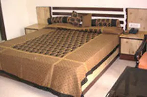 Capital O 2382 Hotel White House Continental Delhi   Delhi (National Capital Territory of India)